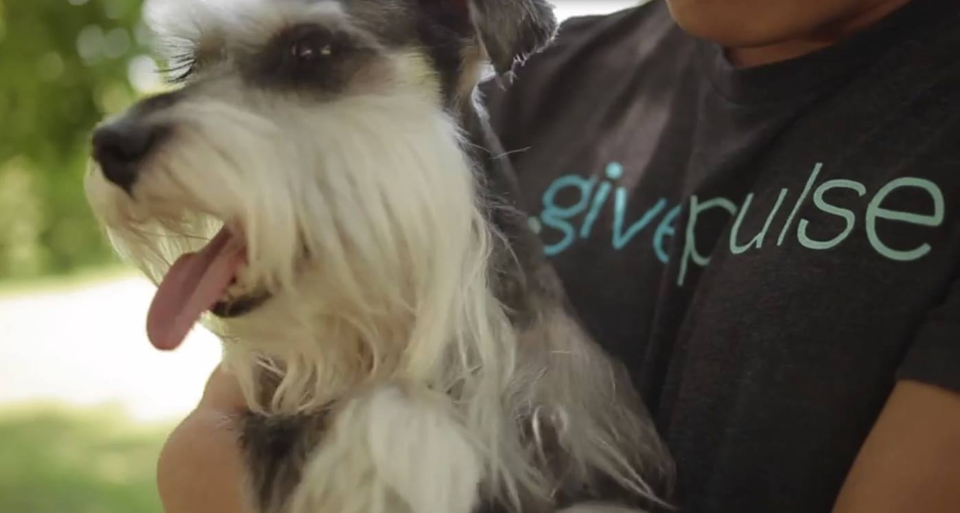 Animal at a humane shelter being hugged by a volunteer with an old GivePulse tee. 