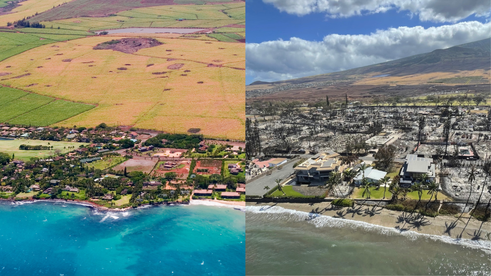 Arial side by side image of Maui before the fires and after the fires 