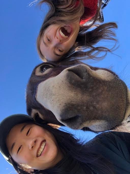 GivePulse team members taking a selfie with a donkey 