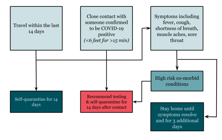 Flow chart for deciding whether or not to get tested for COVID-19