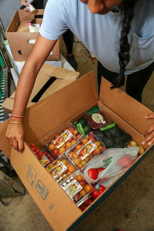 Student volunteers at the UGA Campus Kitchen unpack groceries