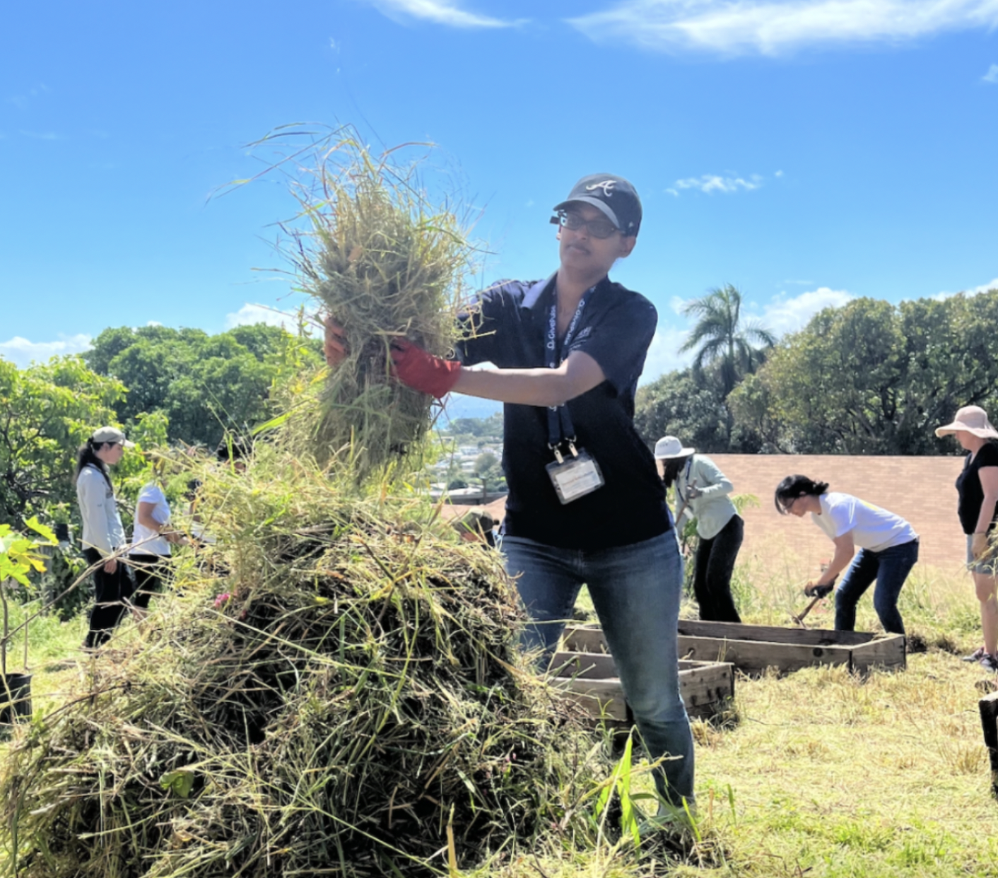 Community gardening in Maui, Hawaii