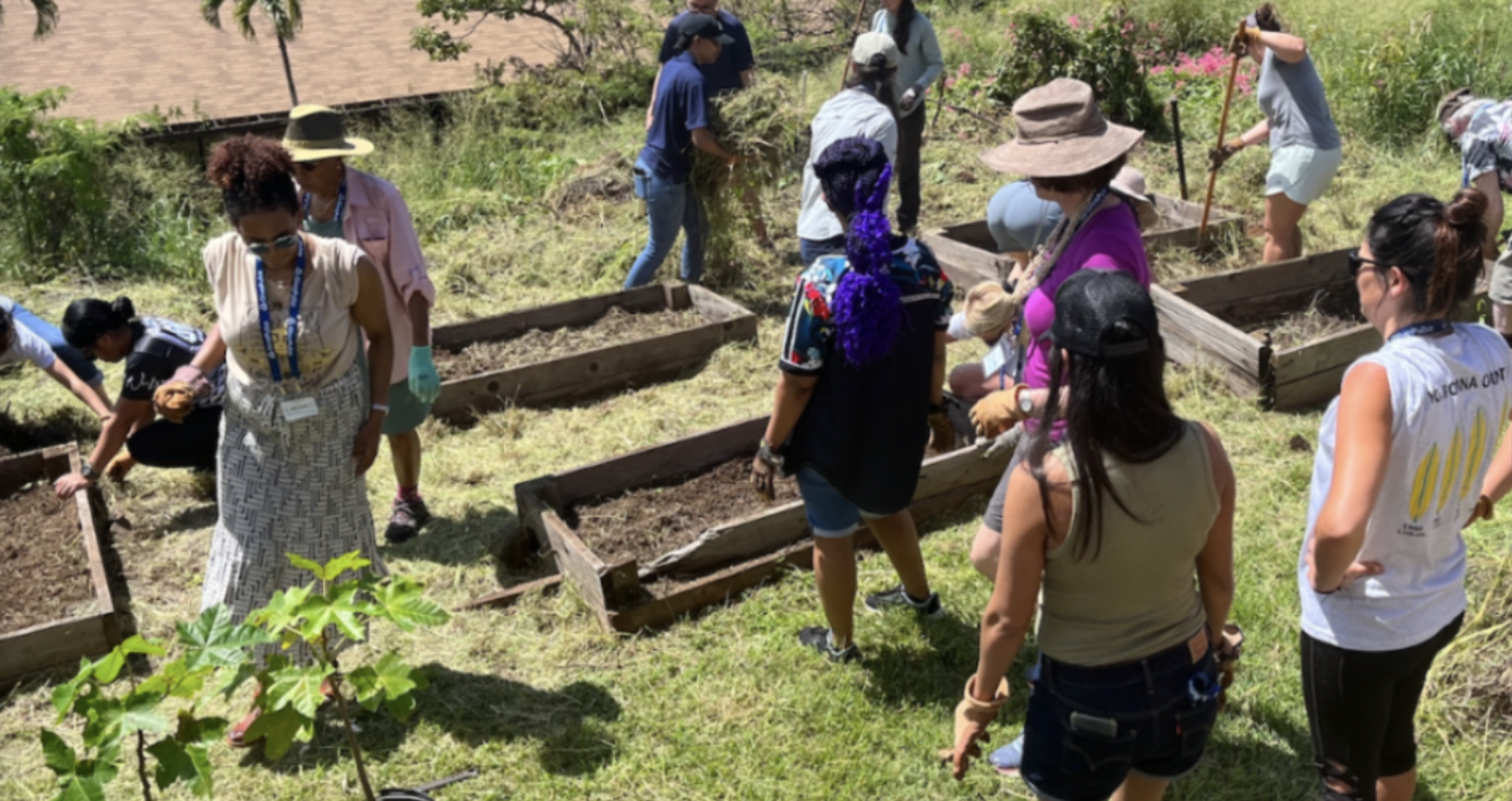 Volunteers helping to create raised community garden beds in Hawaii