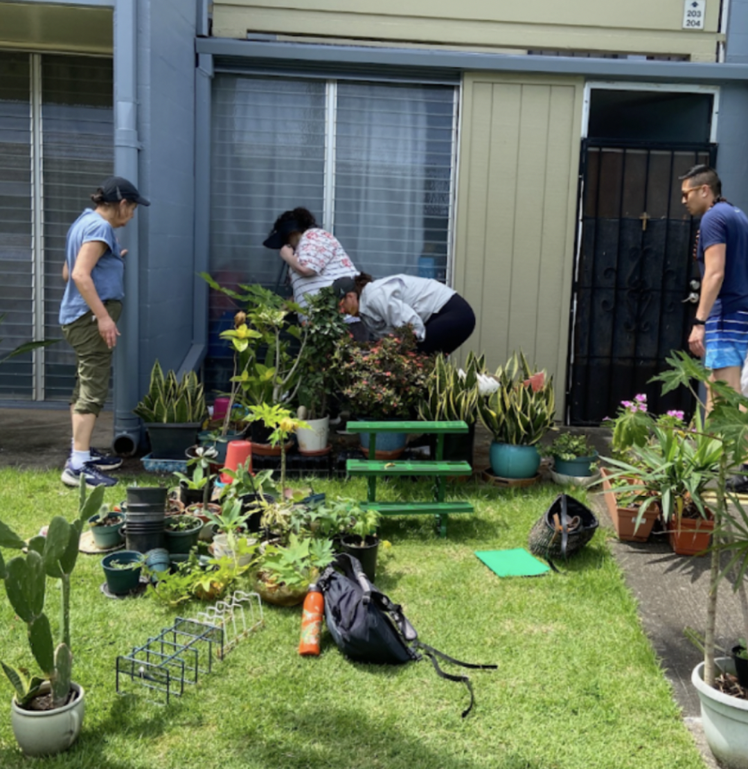 Community gardening workshop on the island of Maui, Hawaii as part of a sustainability event showing community members creating a community garden.