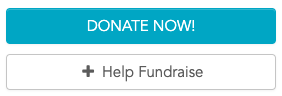 Donate Now and Help Fundraise buttons on GivePulse page